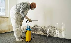  North Prairie, WI Mold Remediation Pros