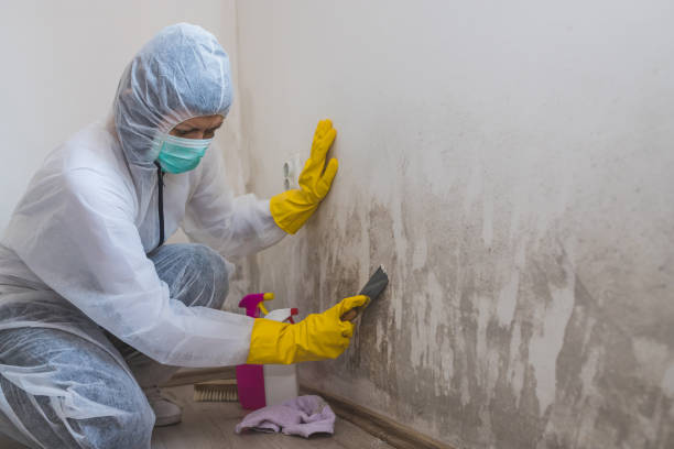 Best Mold Prevention Services  in North Prairie, WI